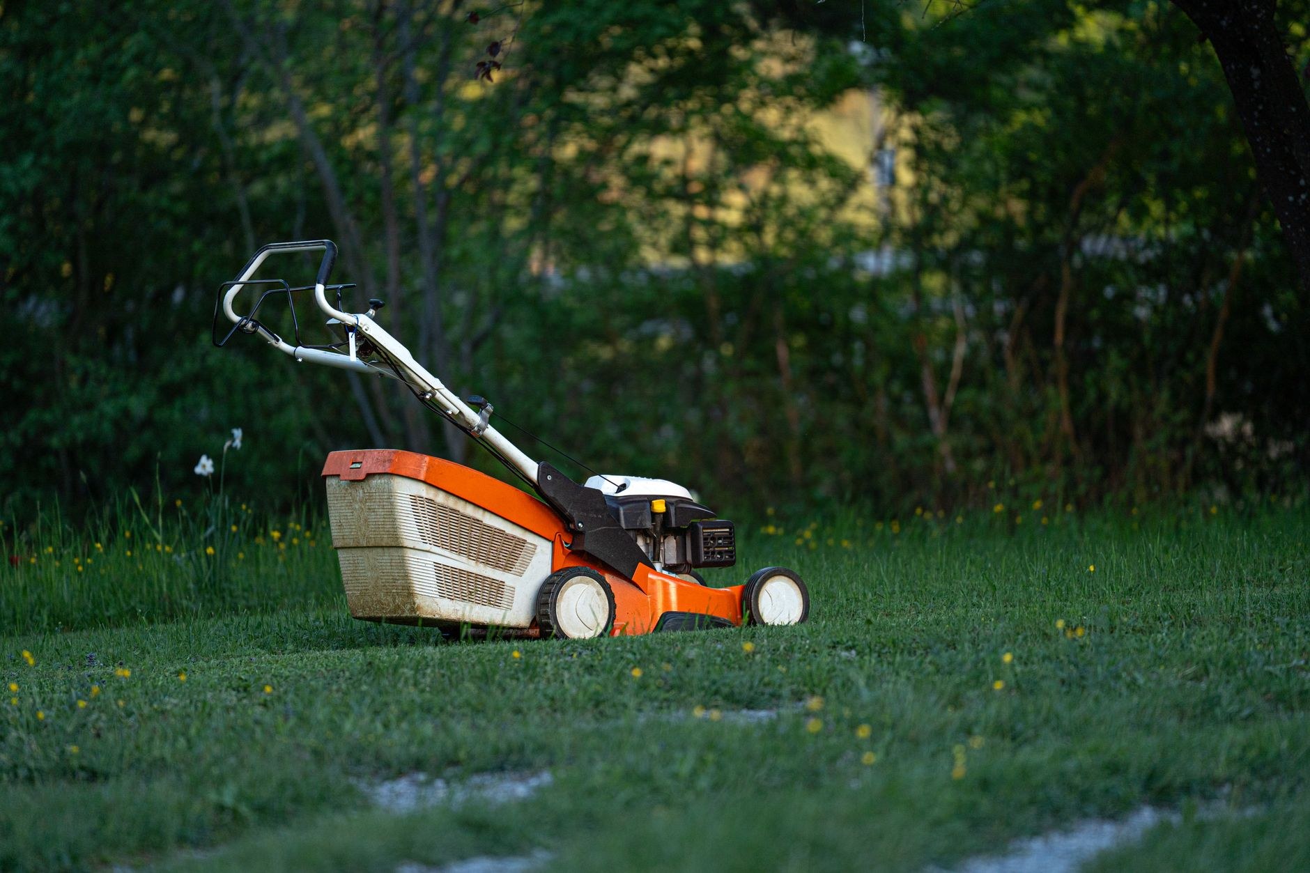 Mower on a freshly cut backyard lawn