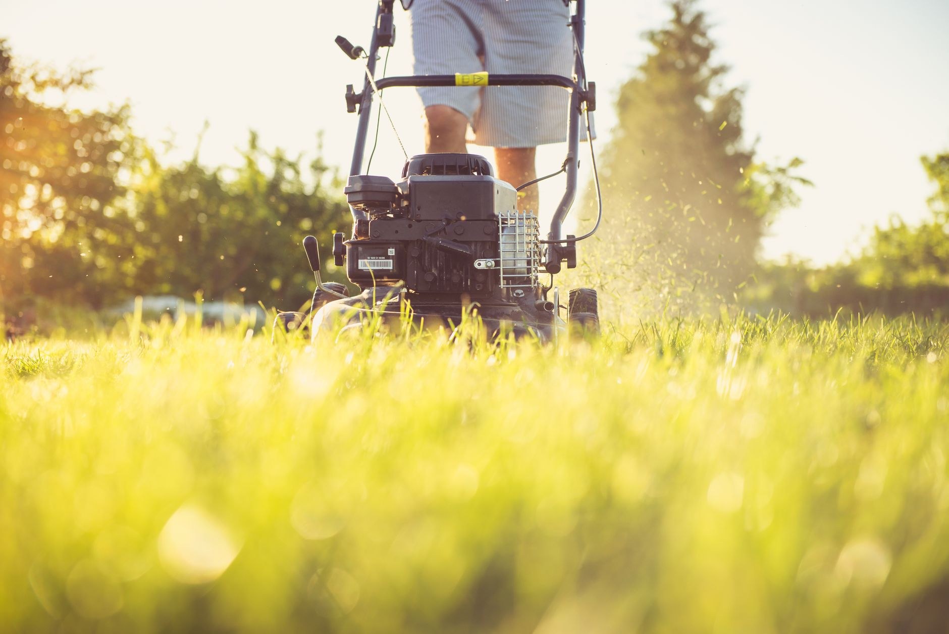 Gardener mowing with sunlit grass